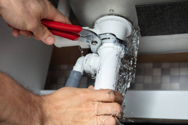 Best Local water damage restoration  in Mcalmont, AR
