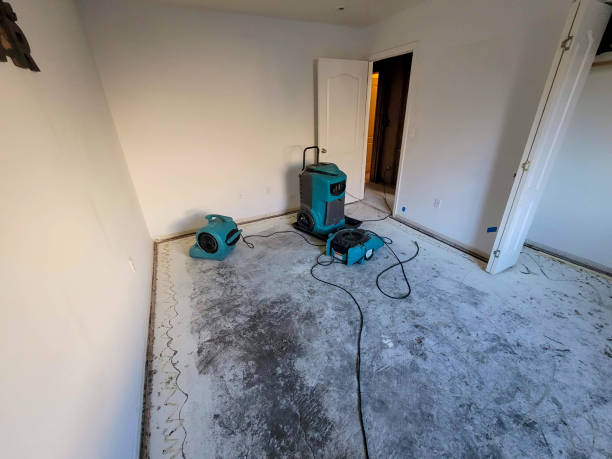 Best Professional water damage repair  in Mcalmont, AR