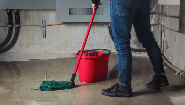 Best Residential water damage restoration  in Mcalmont, AR