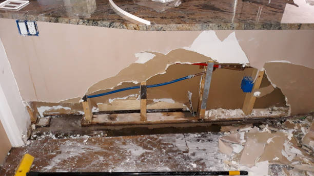 Best 24/7 water damage repair  in Mcalmont, AR
