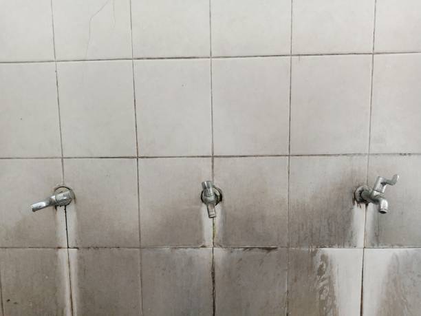 Best Flooded house restoration  in Mcalmont, AR